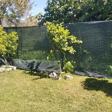 Apartment Casa Isabel Iun P9639 *